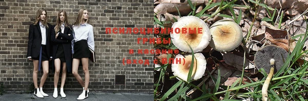синтетический гашиш Алексеевка