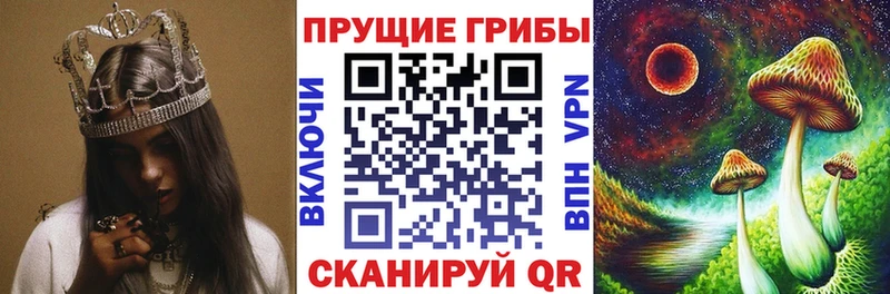 Галлюциногенные грибы прущие грибы  Электрогорск 